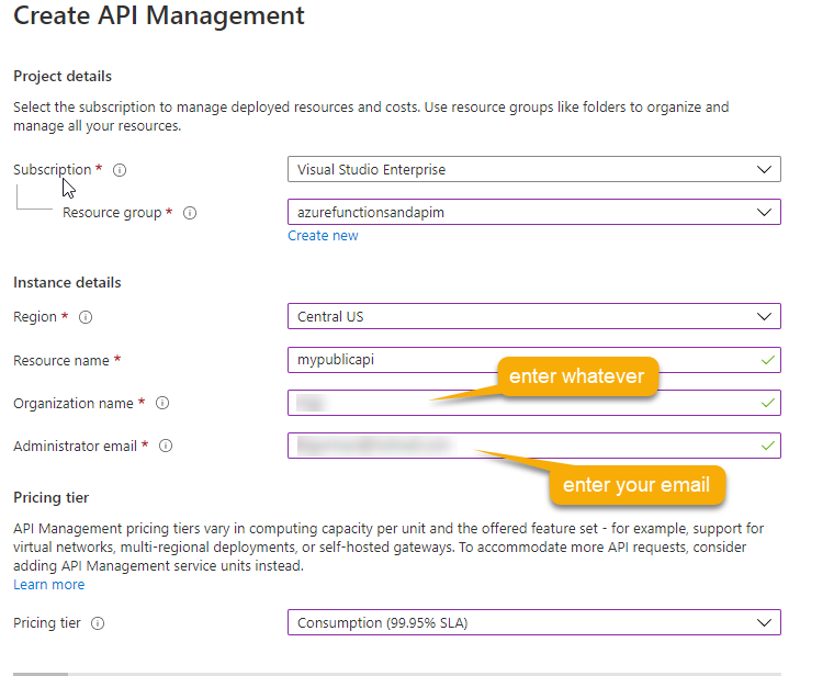 Settings for creating the APIM instance